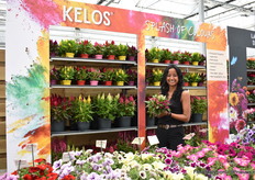 Sirekit Mol van Beekenkamp met de Celosia Kelos Lunar.